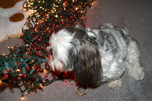decorating