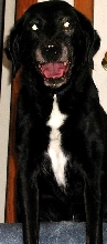 Keiko