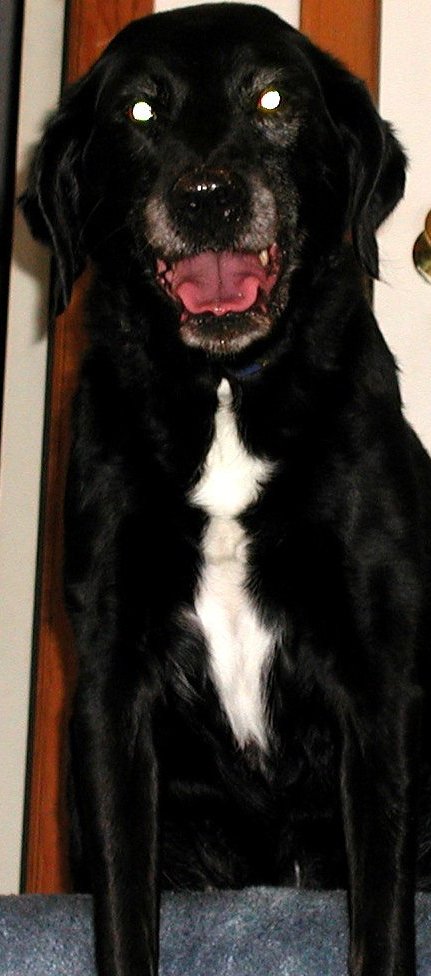 Keiko