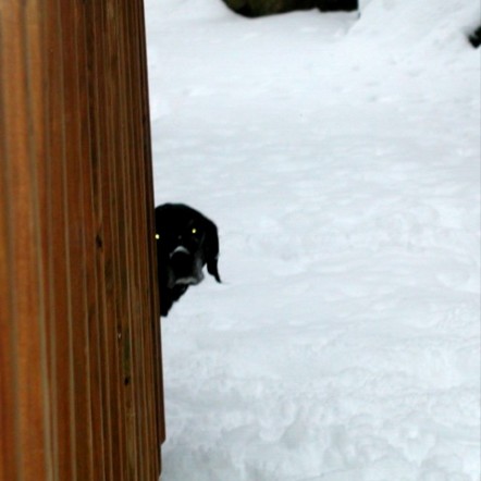 keiko was always scared of the cameras flash
