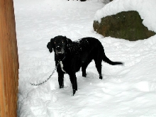 keiko in the snow