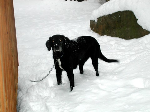 keiko in the snow