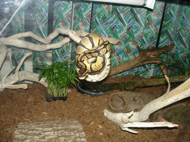 Lilith
