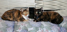 Cleo and Kalista