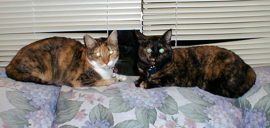 Cleo and Kalista