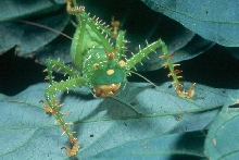 Can anyone tell me what this is?
