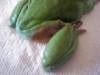 shmeagal3