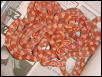 motley sunglow corns