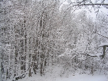 3-12-05 Grafton MA winter storm