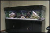 my 125gal