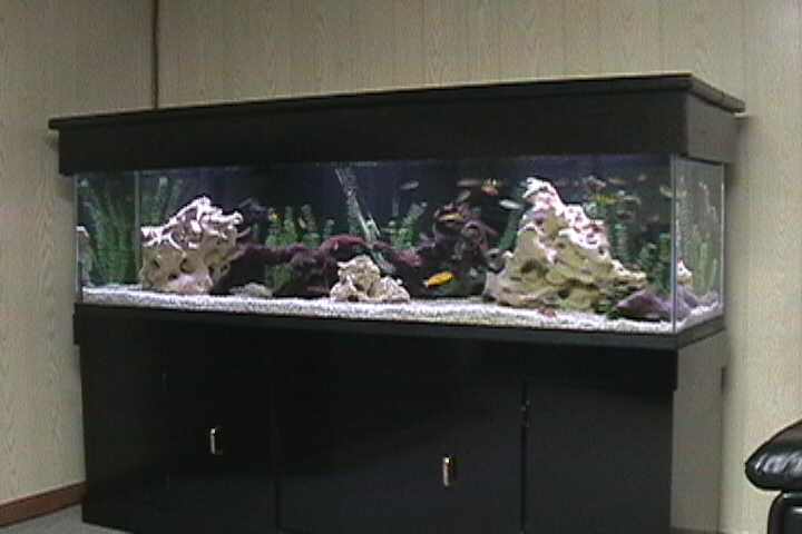 my 125gal