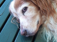 Bob on Porch