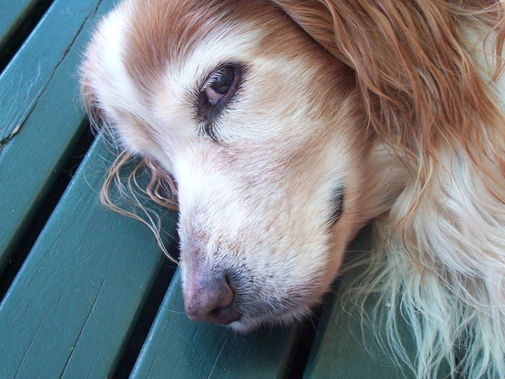 Bob on Porch