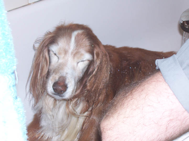 Bob's last bath
