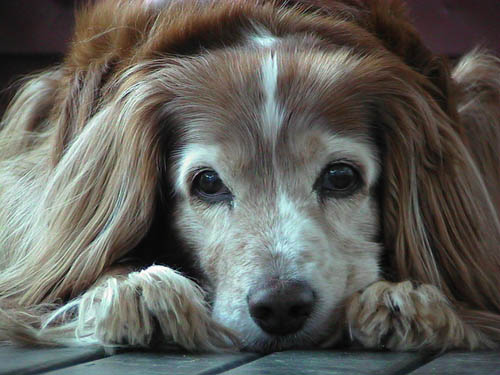 Bob locking eyes