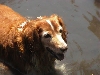 Bob in the creek