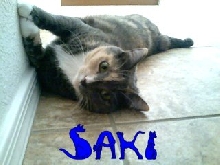 Saki