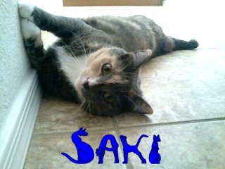 Saki