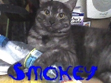 Smokey