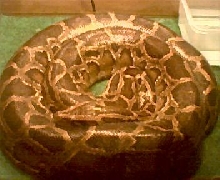20# burm