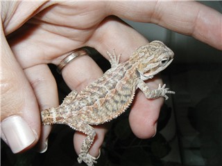 New baby