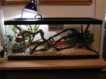 Habitat 1