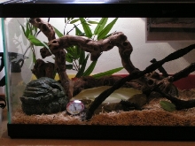Habitat 2