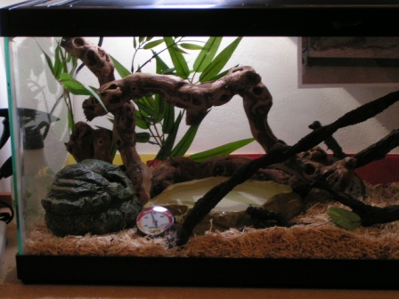 Habitat 2