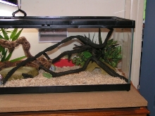 Habitat 4