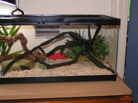Habitat 4