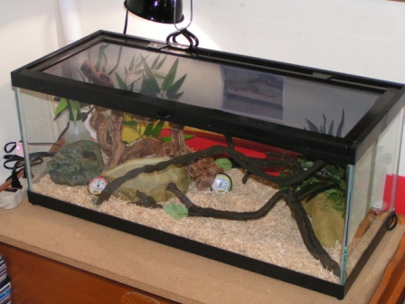 Habitat 5