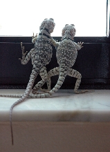 What's outside?
