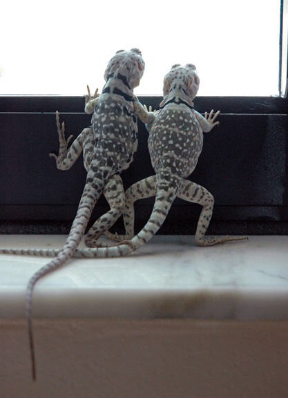 What's outside?