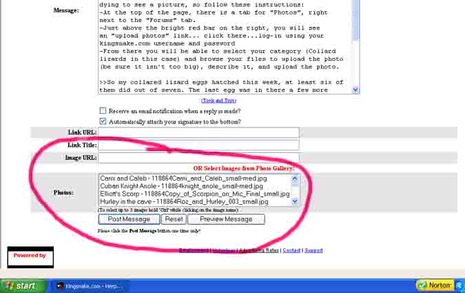 Upload photo Example