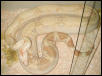 Monster Albino Boa female