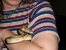 My favorite picture of Princess.