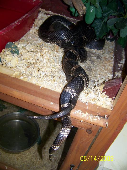 Love twist