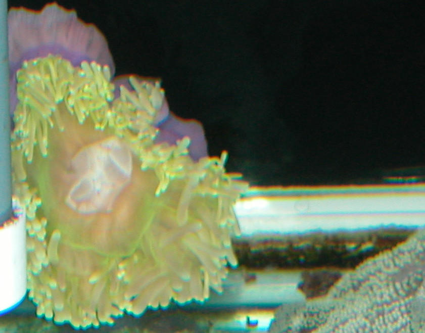 Saltwater Photos