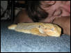 Naptime