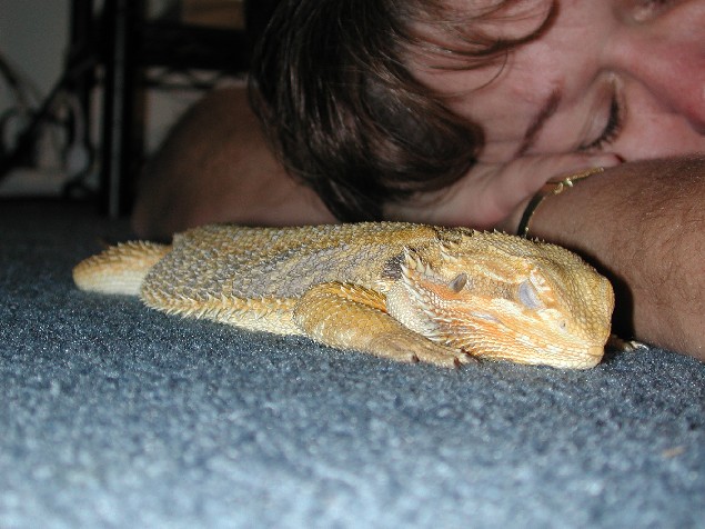 Naptime