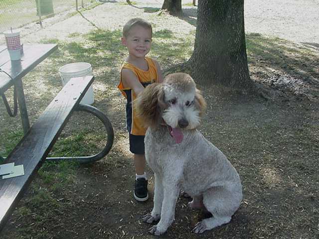 Jacob and Arley at dog park 9/11