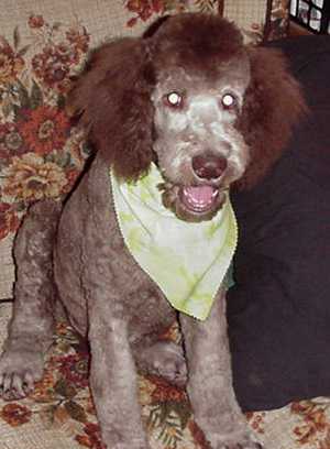 Arley's first cut