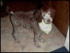 Arley's new cut