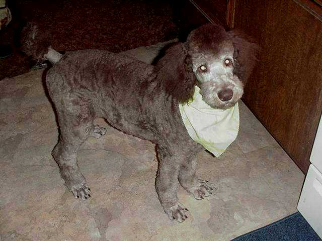 Arley's new cut