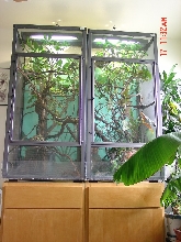 chameleon cages