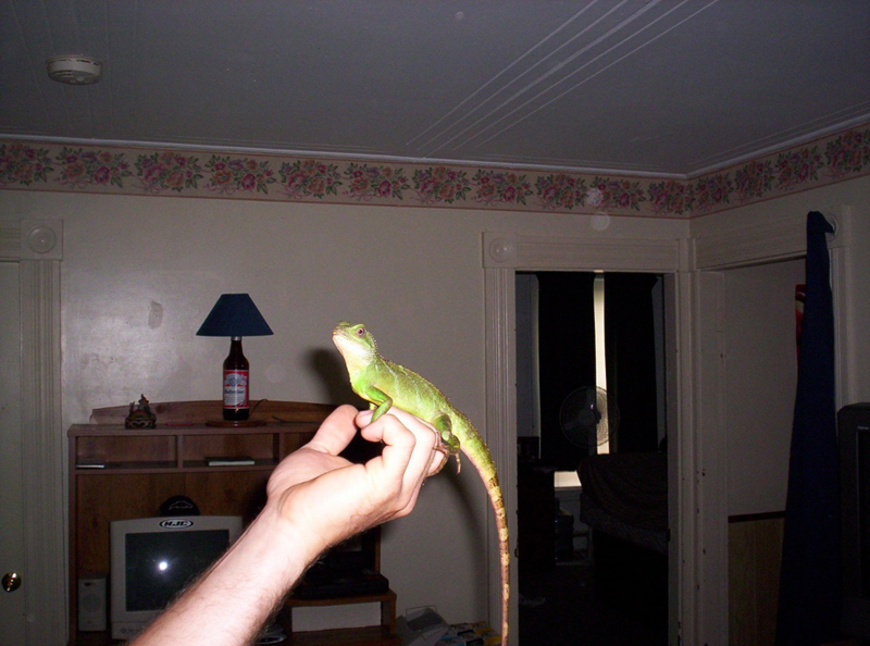 Fred
