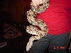 New Baby