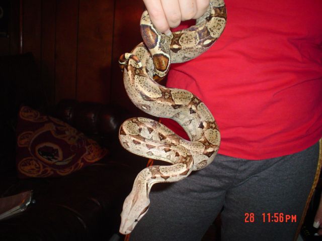 New Baby