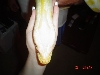 junior and my hand