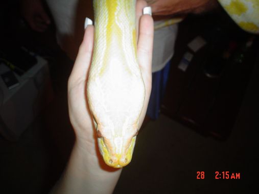 junior and my hand
